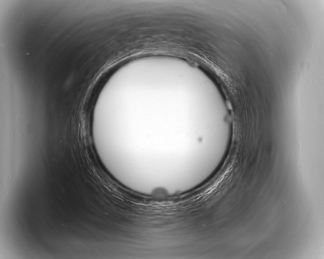 X0000098231498200804241150