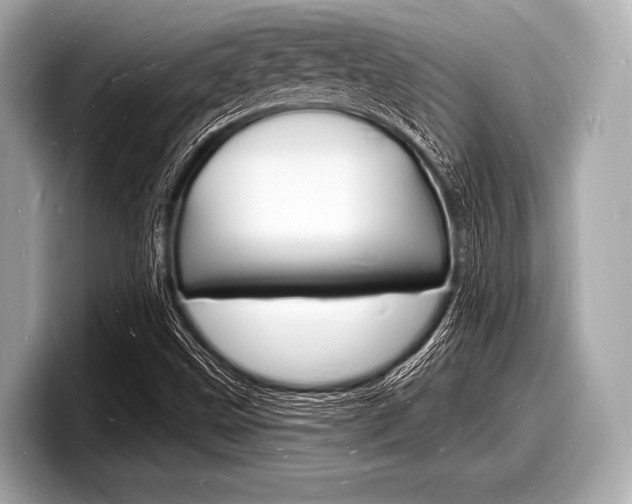 X0000098231499200804241150