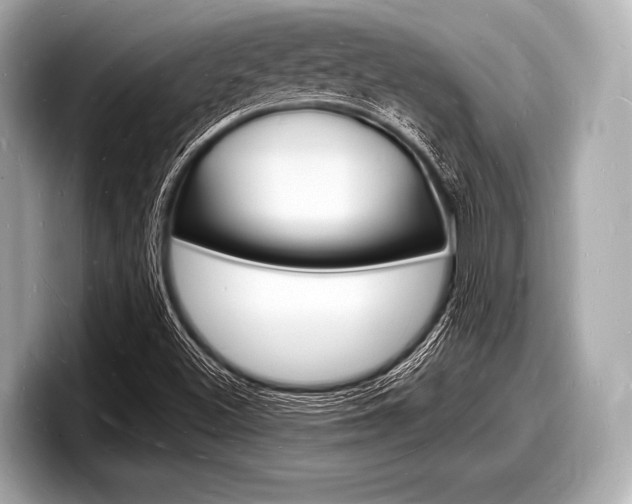 X0000098231500200804241150