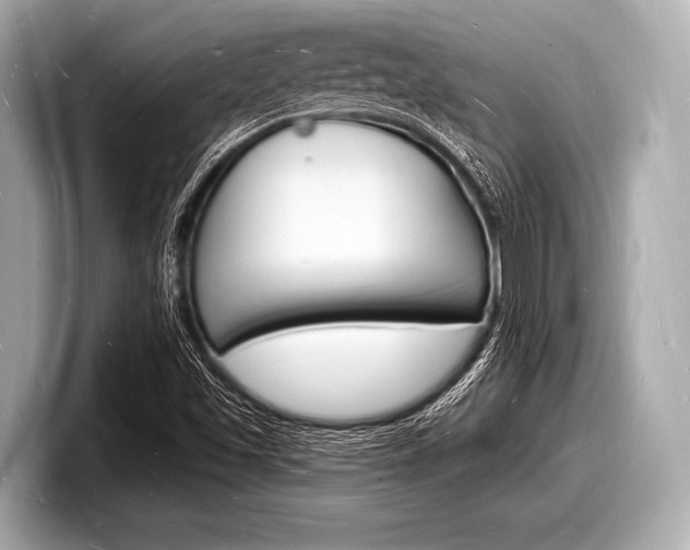 X0000098231501200804241150