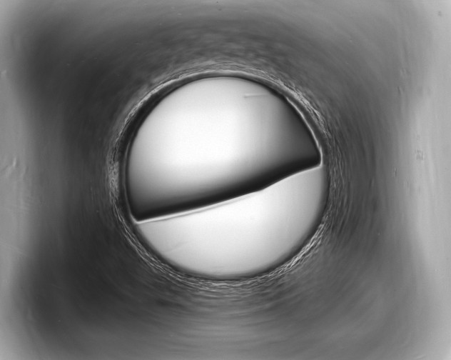 X0000098231503200804241150
