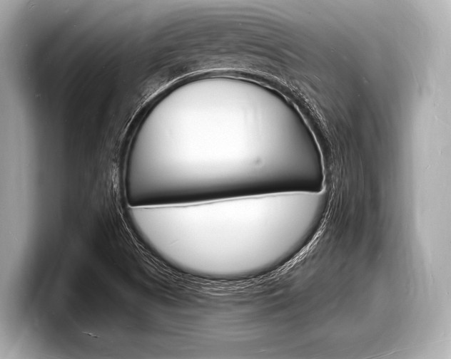 X0000098231505200804241150