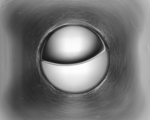 X0000098231506200804241150