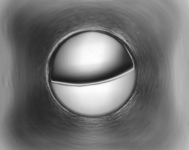 X0000098231508200804241150