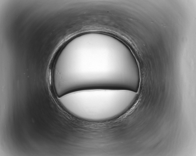X0000098231509200804241150