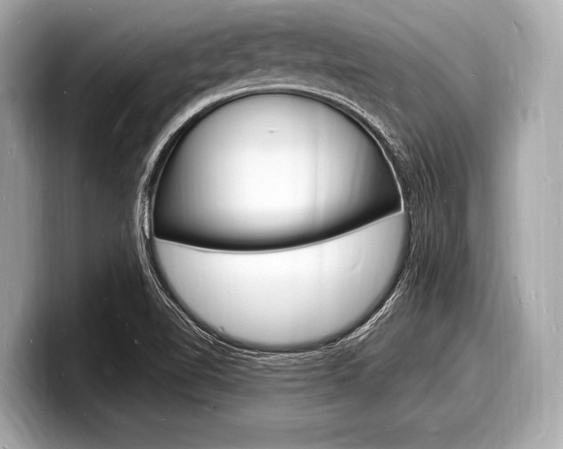 X0000098231510200804241150