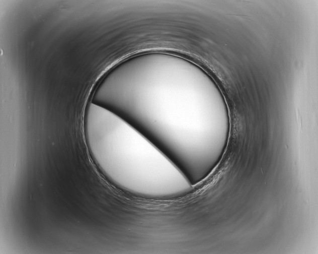 X0000098231513200804241151