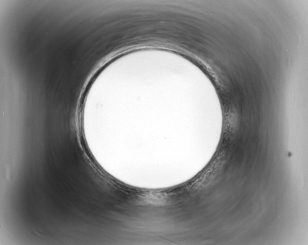 X0000098231514200804241151
