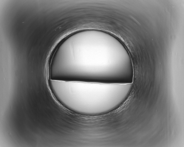 X0000098231515200804241151