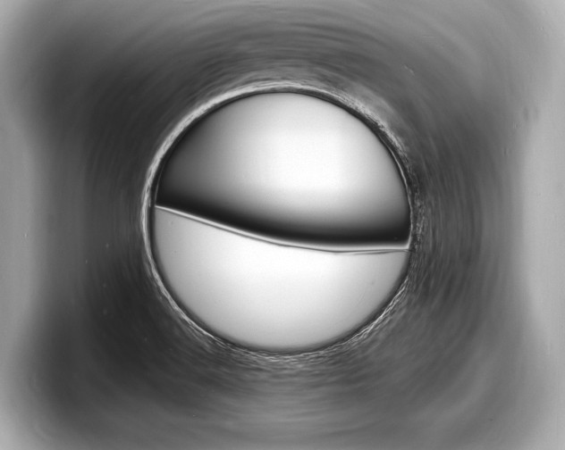 X0000098231516200804241151