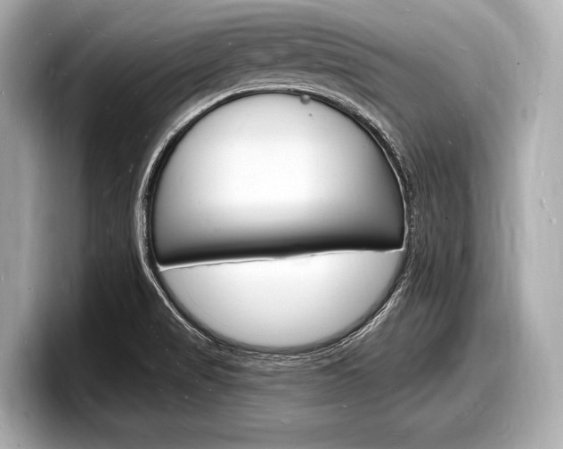 X0000098231517200804241151