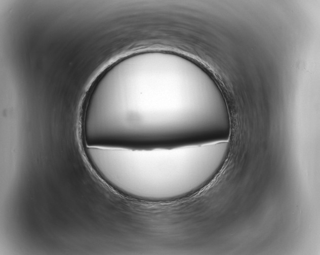X0000098231518200804241151
