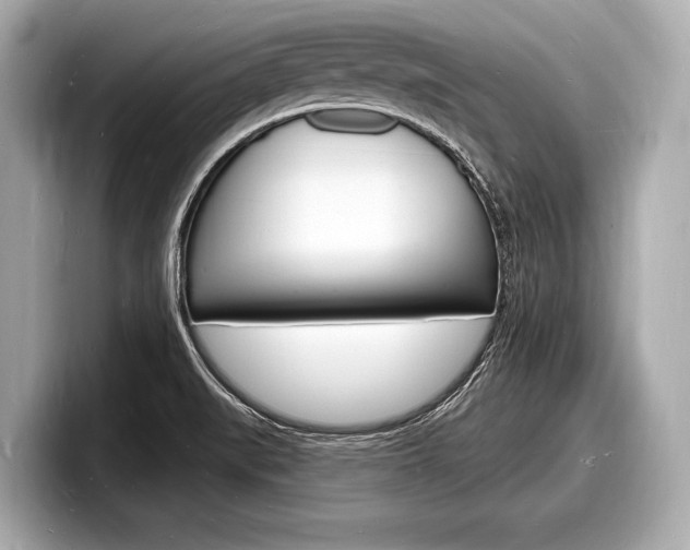 X0000098231519200804241151