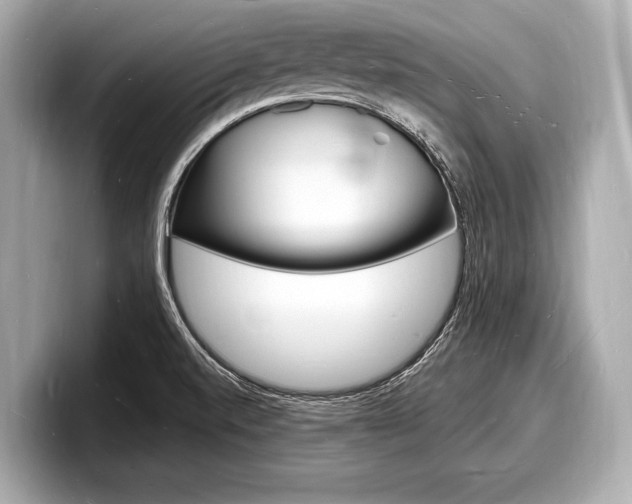 X0000098231520200804241151