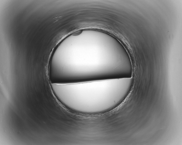 X0000098231521200804241151