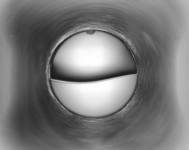 X0000098231522200804241151