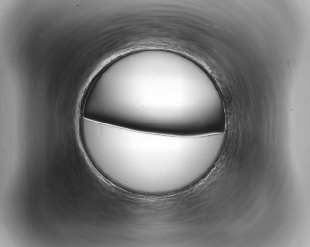X0000098231523200804241151