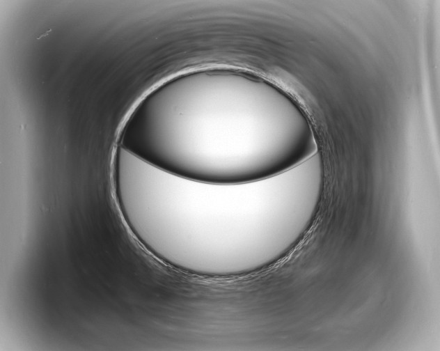 X0000098231524200804241151