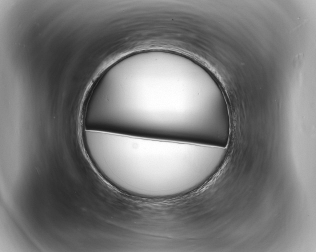 X0000098231525200804241151
