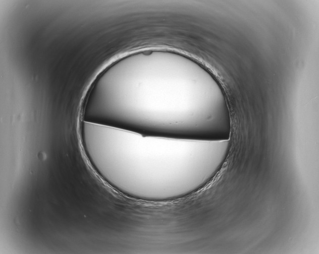 X0000098231526200804241151