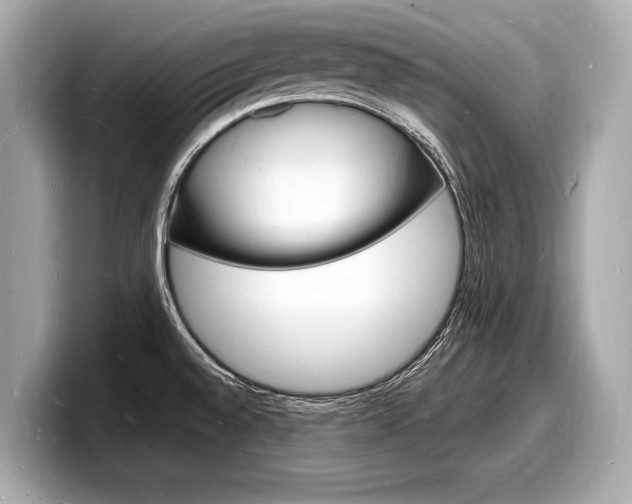 X0000098231528200804241151
