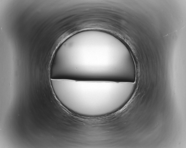 X0000098231529200804241151