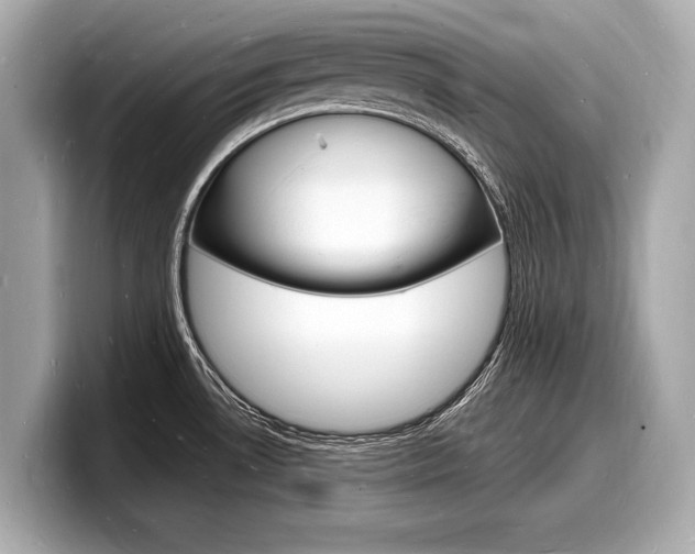 X0000098231530200804241151