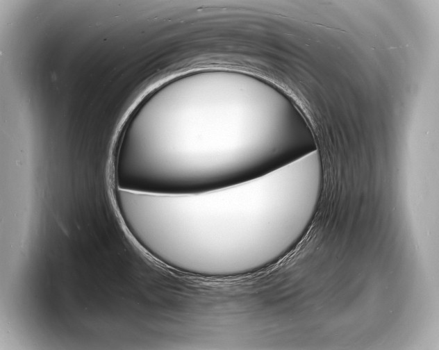 X0000098231531200804241151