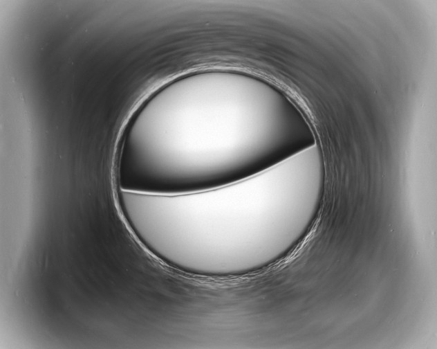 X0000098231533200804241151