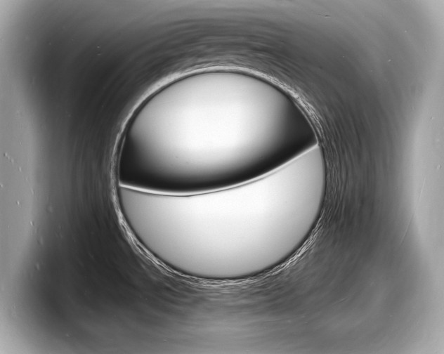 X0000098231534200804241151