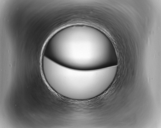 X0000098231536200804241151