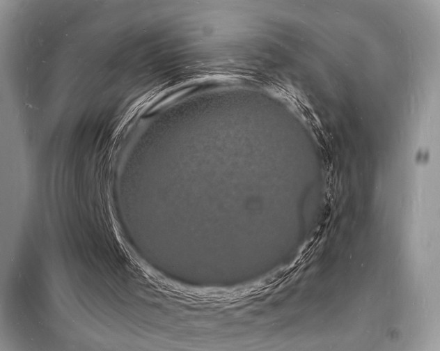 X0000098230001200804241351