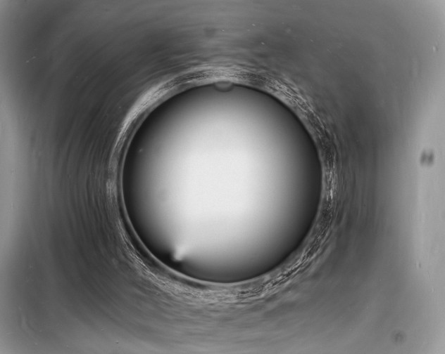 X0000098230004200804241351