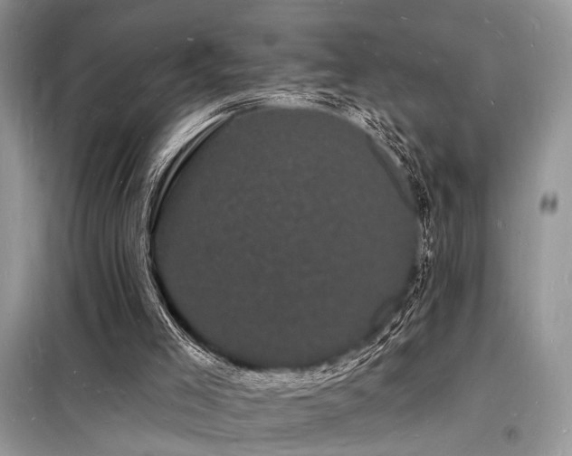 X0000098230005200804241351