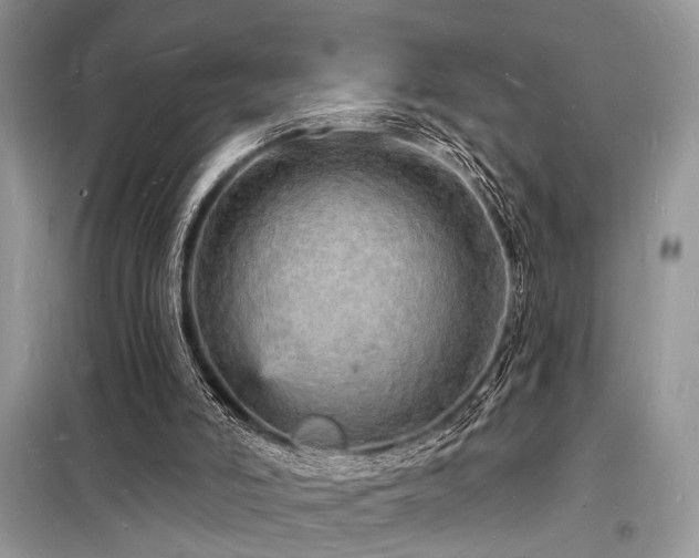 X0000098230006200804241351