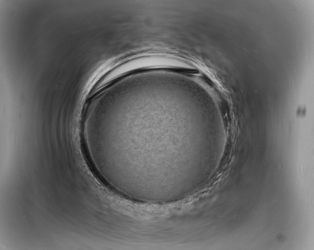 X0000098230007200804241351