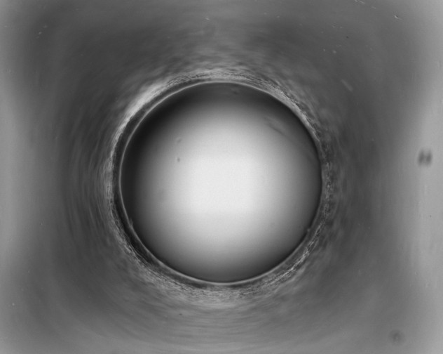 X0000098230008200804241351