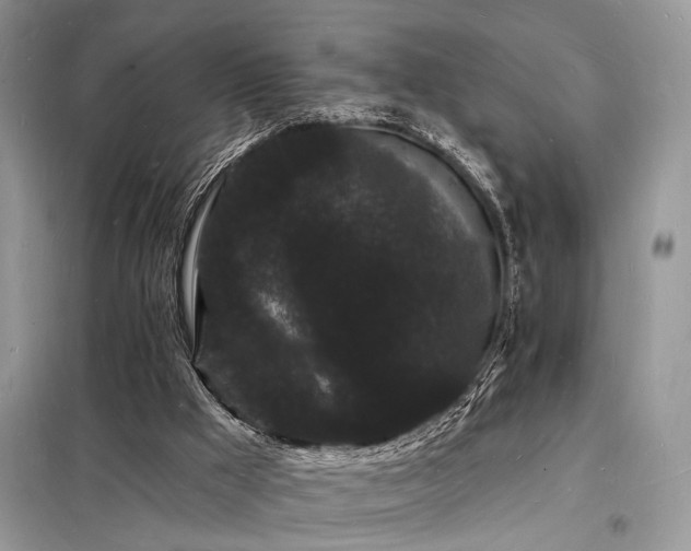 X0000098230009200804241351