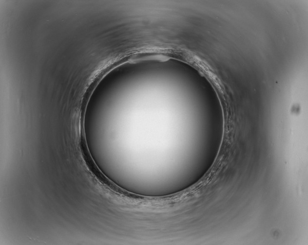 X0000098230011200804241351