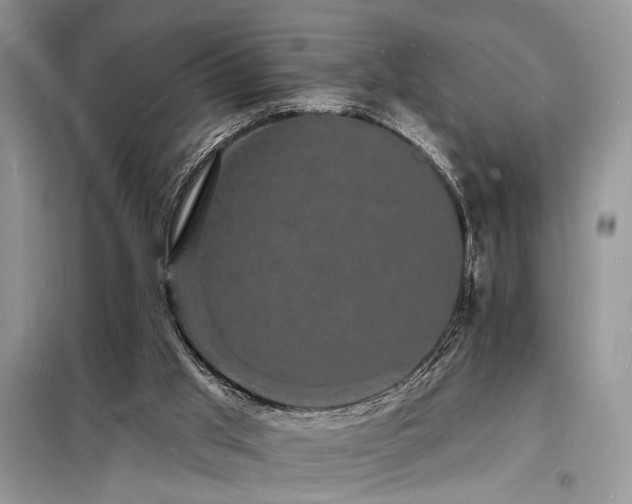 X0000098230013200804241351