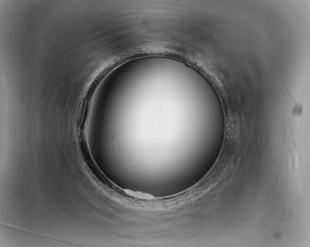 X0000098230015200804241351