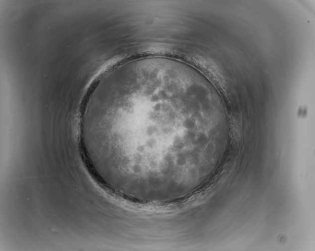 X0000098230016200804241351