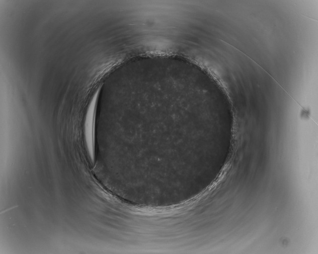 X0000098230017200804241351
