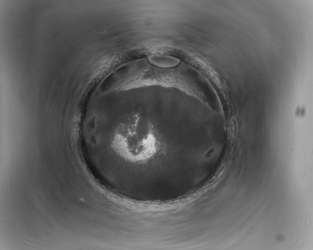 X0000098230018200804241351