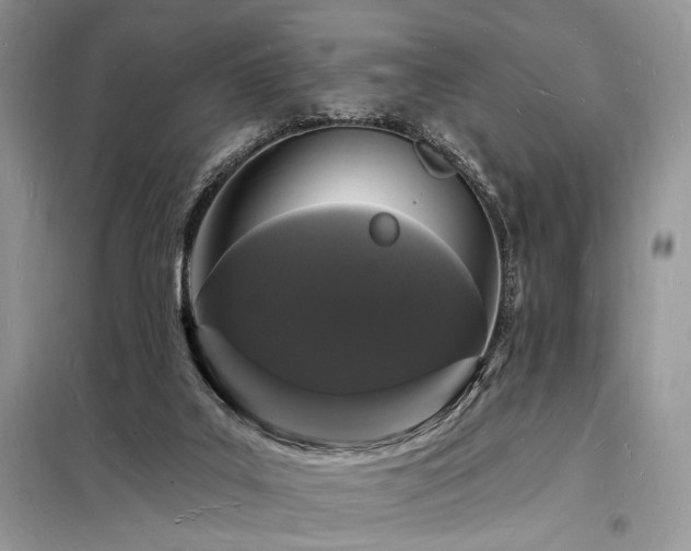 X0000098230019200804241351