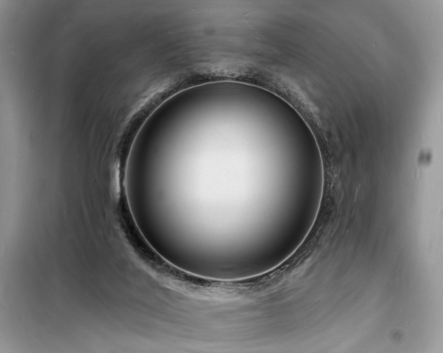 X0000098230020200804241351