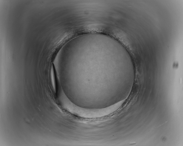 X0000098230021200804241351