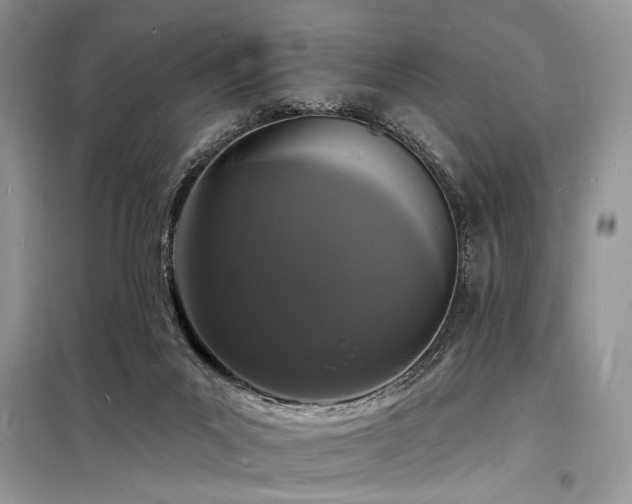X0000098230023200804241351