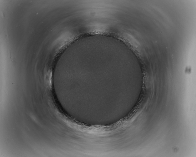 X0000098230024200804241351