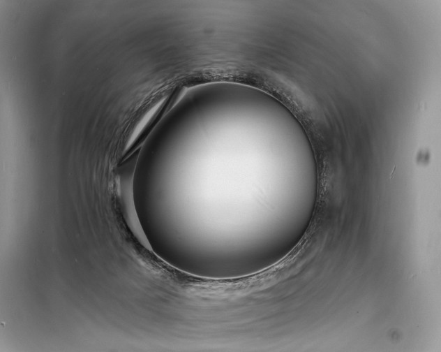 X0000098230025200804241351